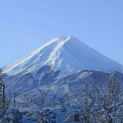 同盟之道破解版下载