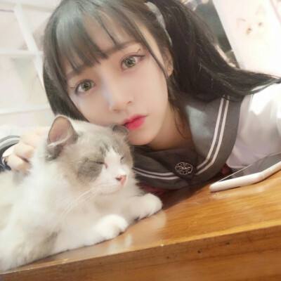 三国志之群英荟萃手机版